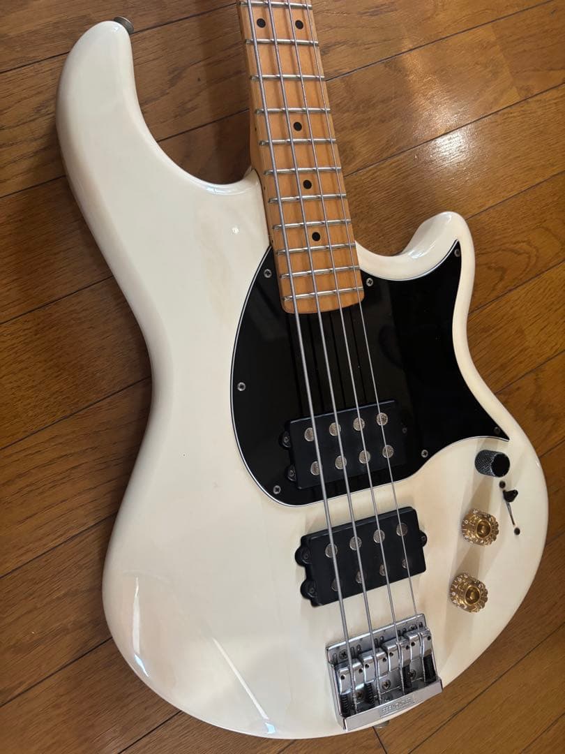 ベース Fernandes FSB-65