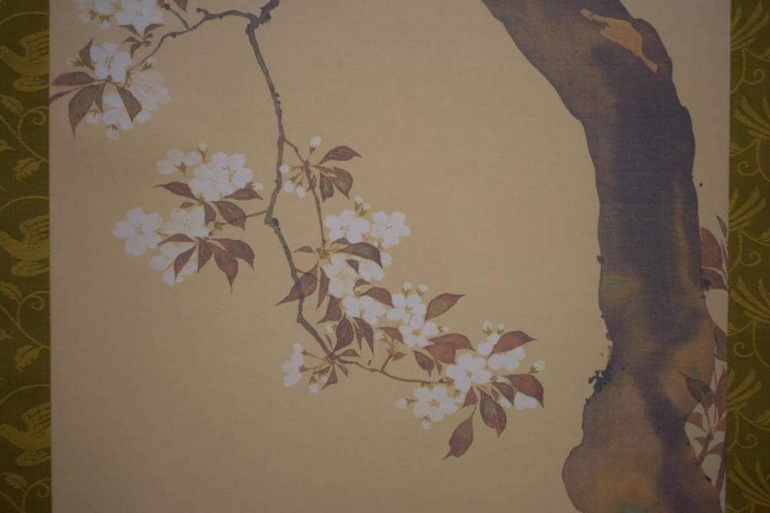 複製/酒井抱一/桜花雉子図/工芸/桐共箱付/布袋屋掛軸HH-940