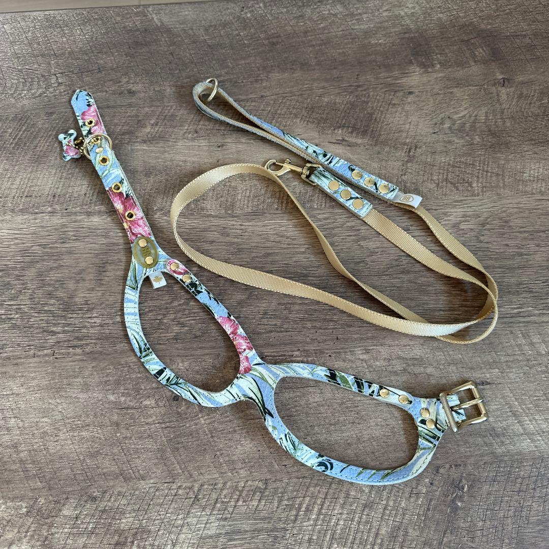 バディベルト　 BB バハマ 4号　 アクセントリード