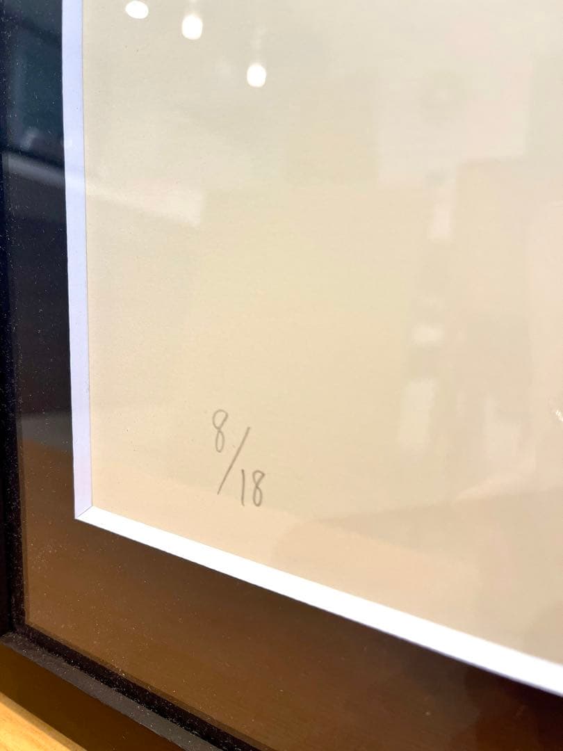 GIRUVI Pachypodium Gracilius グラキリス