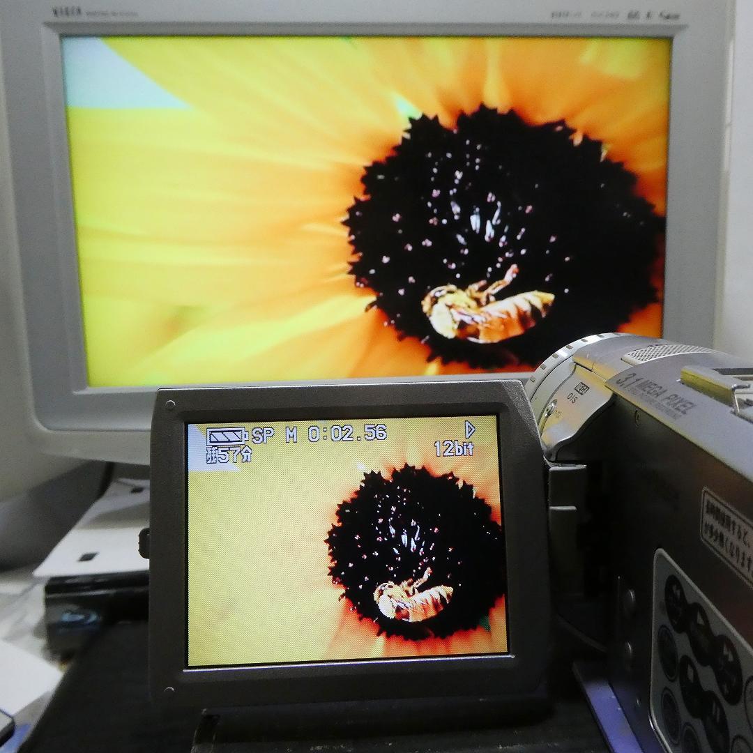 動作良好 パナソニックNV-GS100 MiniDVビデオカメラ　DVD化に最適