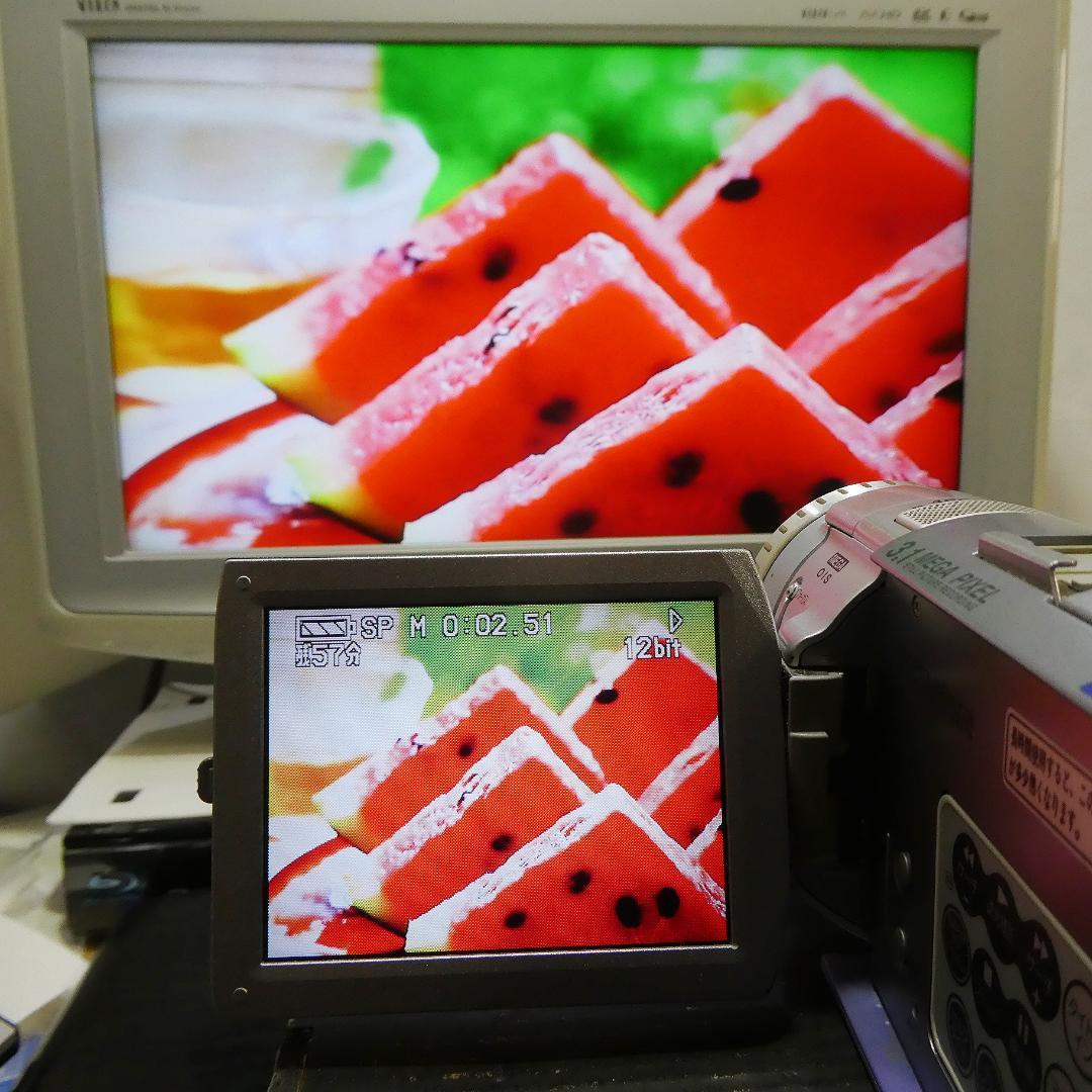 動作良好 パナソニックNV-GS100 MiniDVビデオカメラ　DVD化に最適