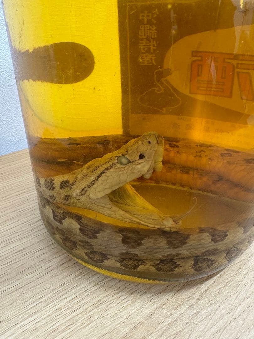 【値下げ】ハブ酒ハチミツ入　3,300ml　沖縄特産　仲里酒造