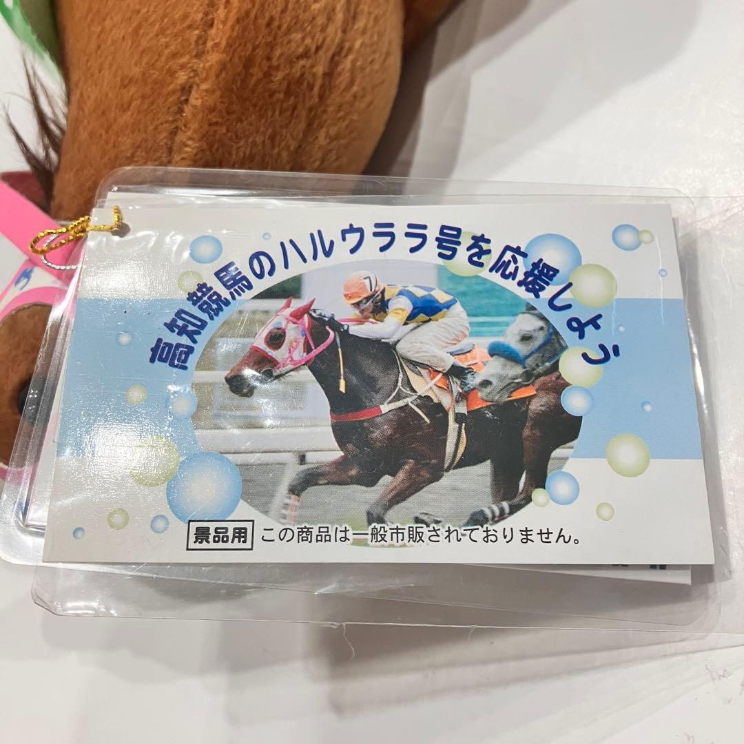 ピ*ー様 ハルウララ　ゼッケン1高知競馬　ぬいぐるみ　応援タグ&単勝タグ付き　非
