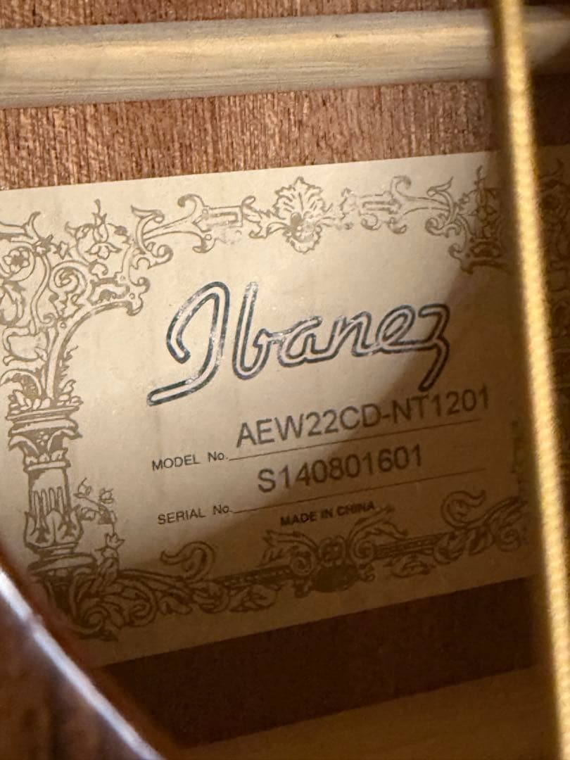 【美品】Ibanez アイバニーズ エレアコ AEW22CD-NT1201