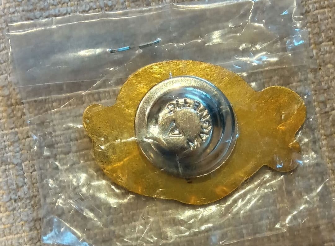 アセアントレイルチャレンジ　ピンバッジ　 亀　カメ　パスポート　2点セット