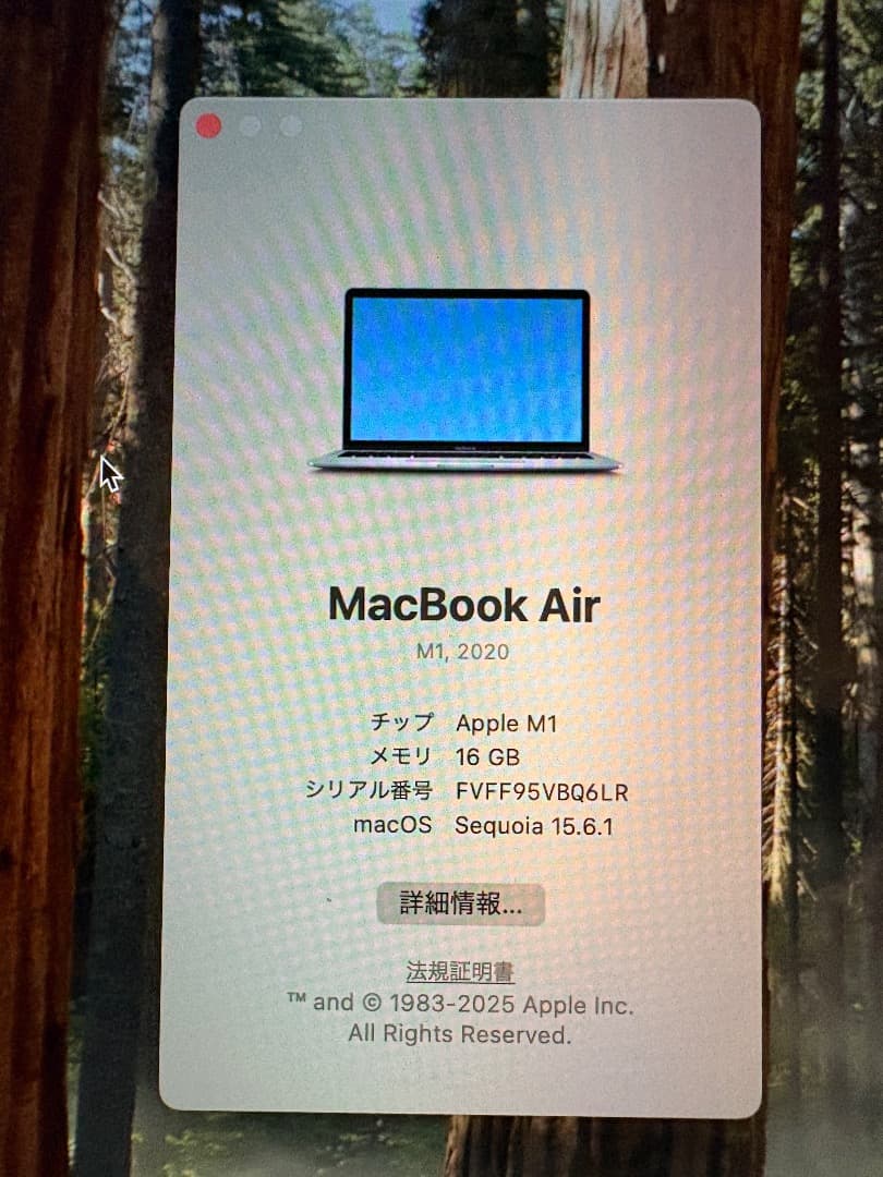 MacBook Air 13 M1 2020 SSD256GB メモリ16GB