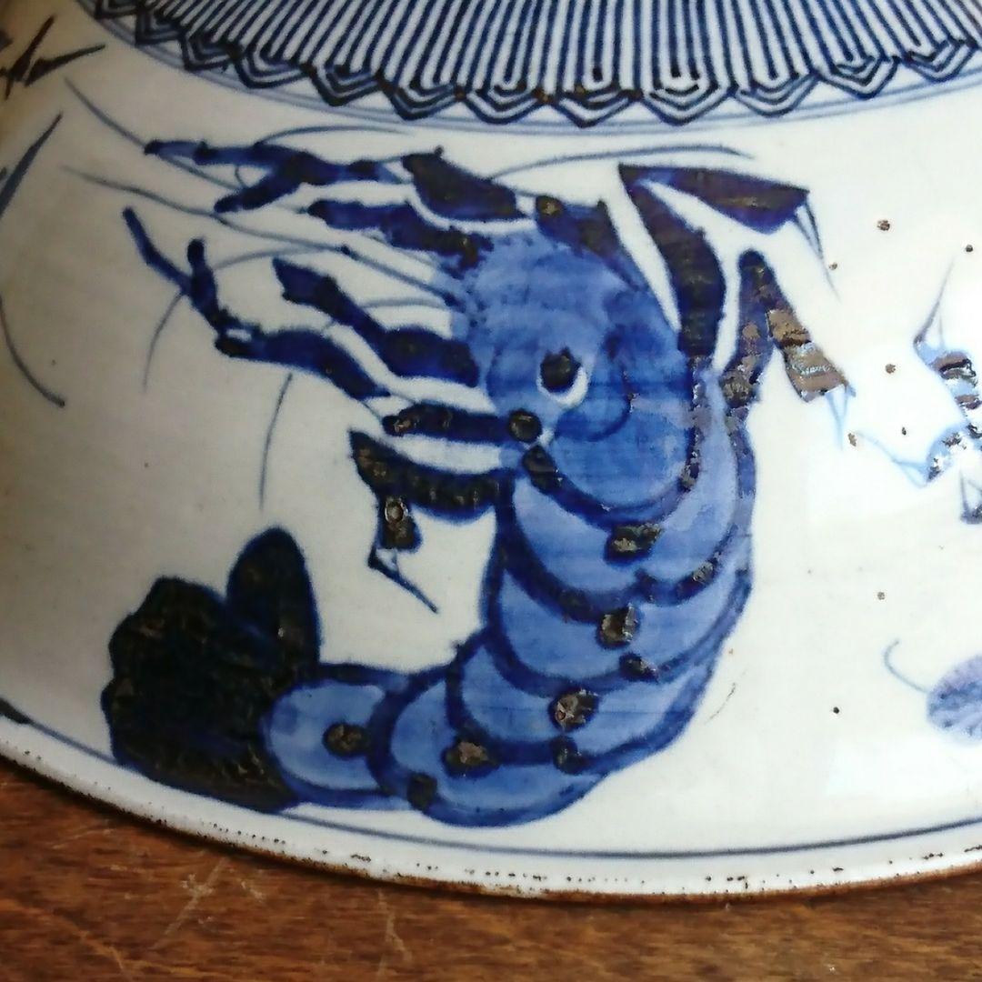 古伊万里 染付 海老蟹魚文大鉢