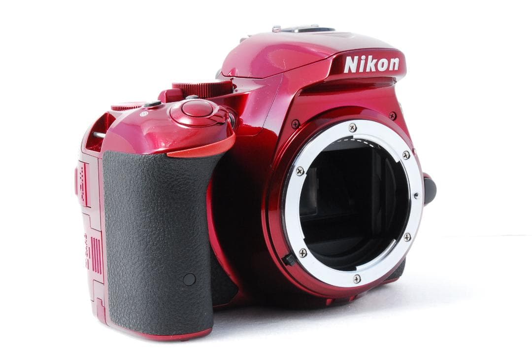 ✨希少色✨ Nikon ニコン D5500 Wi-Fi搭載 一眼レフカメラ