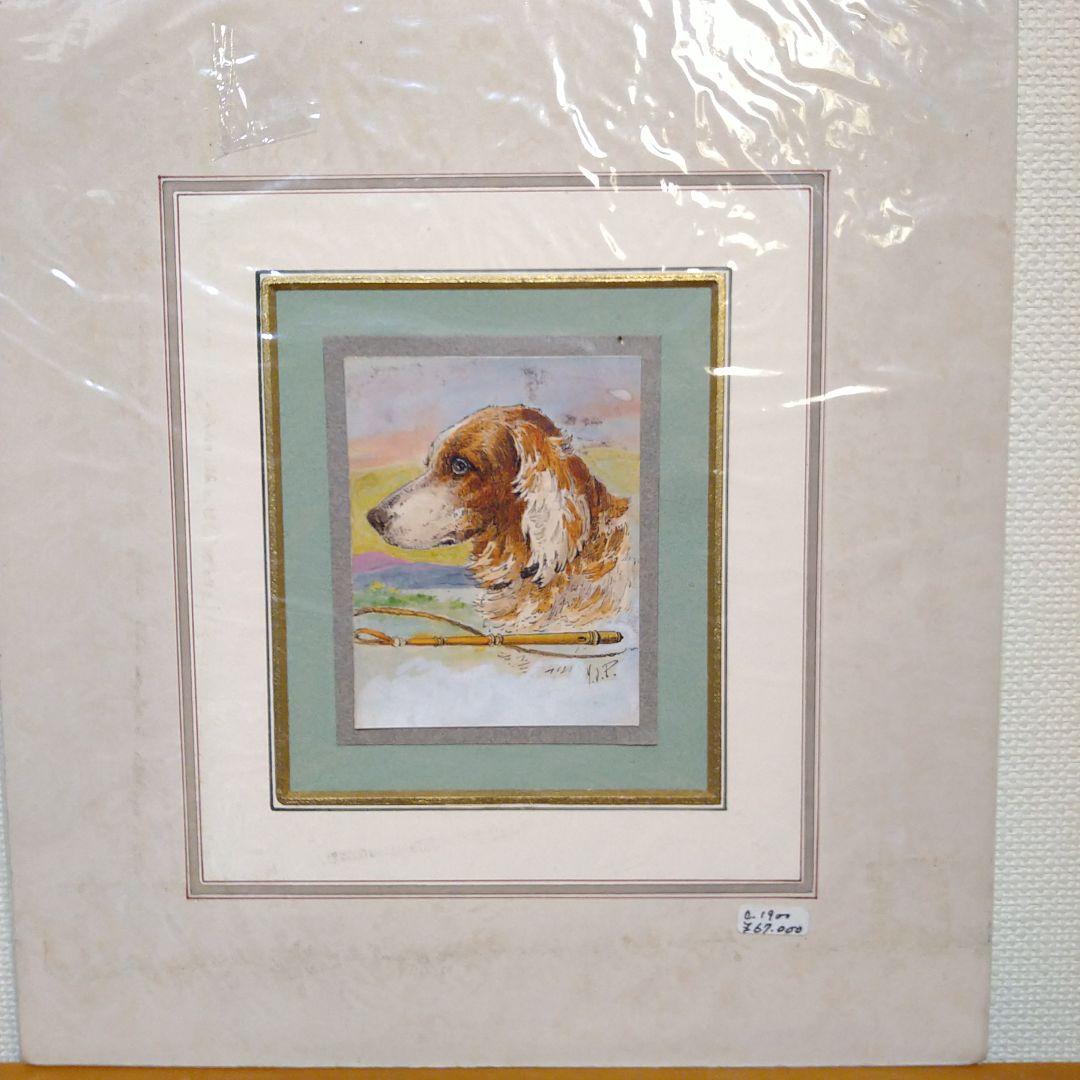 アンティーク絵画 1900年 イギリス 犬 カラー