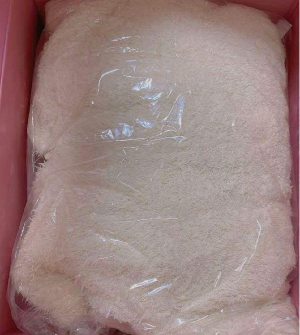 ジェラートピケ ピカチュウ レディース