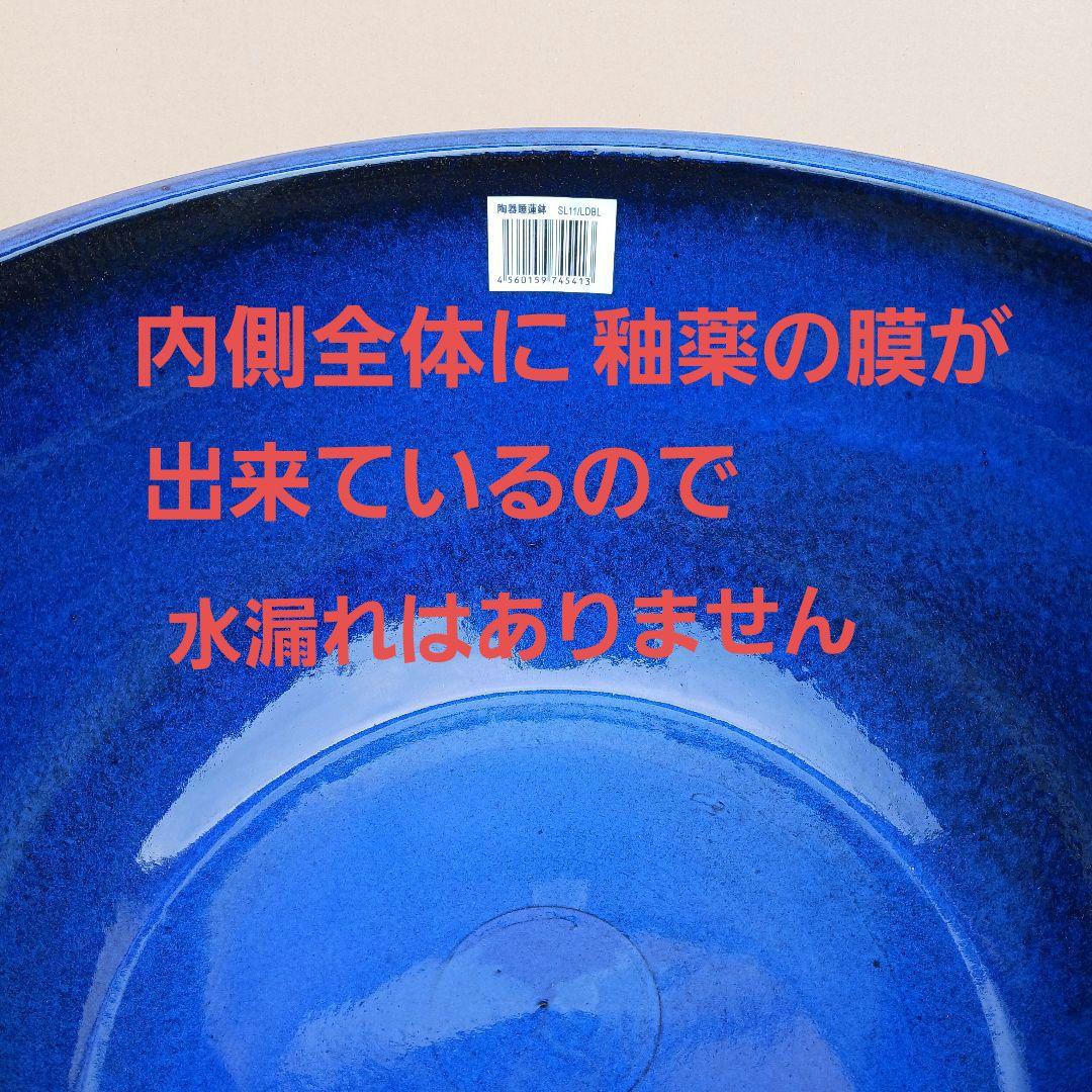 新品　∅50　特大　陶器　睡蓮鉢　手造り　メダカ鉢　難有　ラピスブルー　青LDB