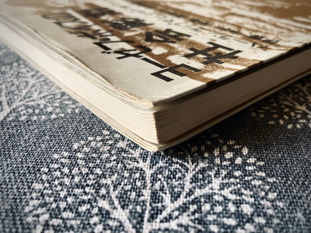 ヨーゼフ・ボイスの社会彫刻