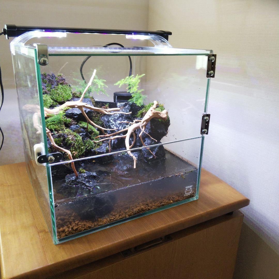 アクアテラリウム完成品 イモリウム 苔テラリウム 滝のあるアクアテラリウム