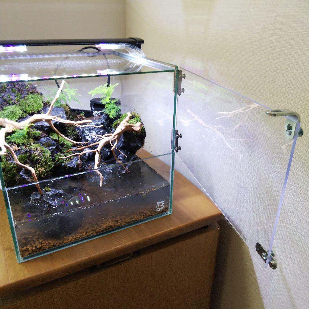 アクアテラリウム完成品 イモリウム 苔テラリウム 滝のあるアクアテラリウム