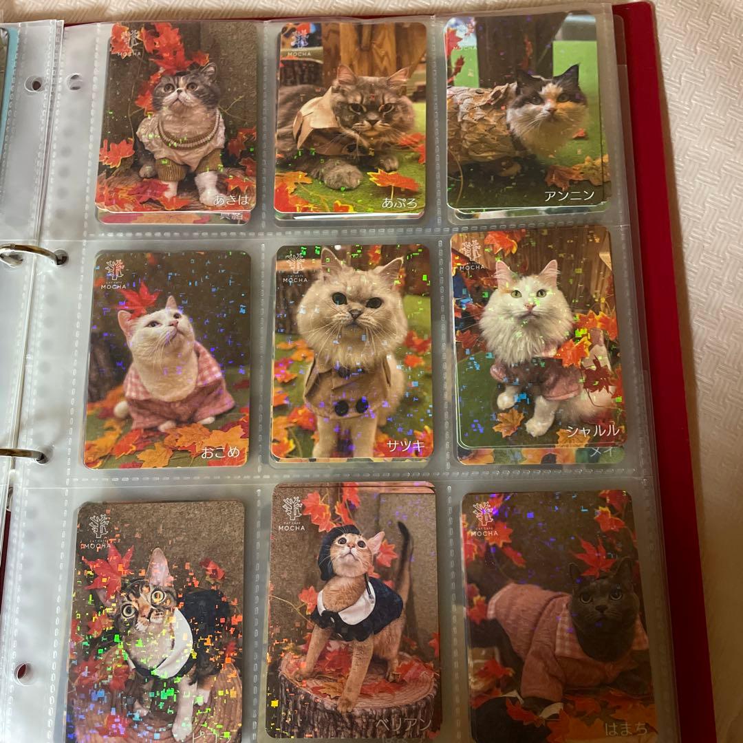 【バラ売り可】猫カフェmocha　トレカ　秋葉原店　2025秋　過去トレカあり