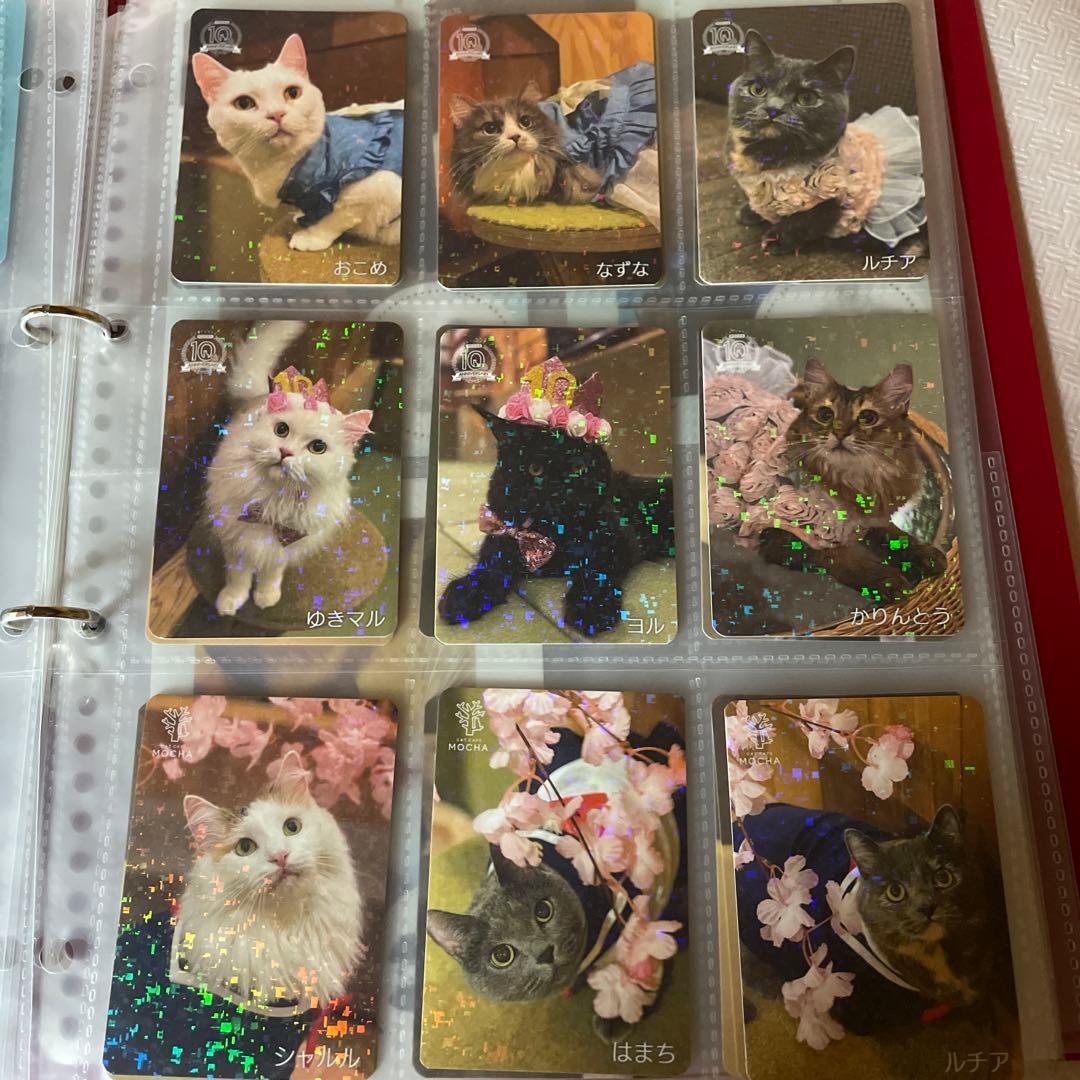 【バラ売り可】猫カフェmocha　トレカ　秋葉原店　2025秋　過去トレカあり