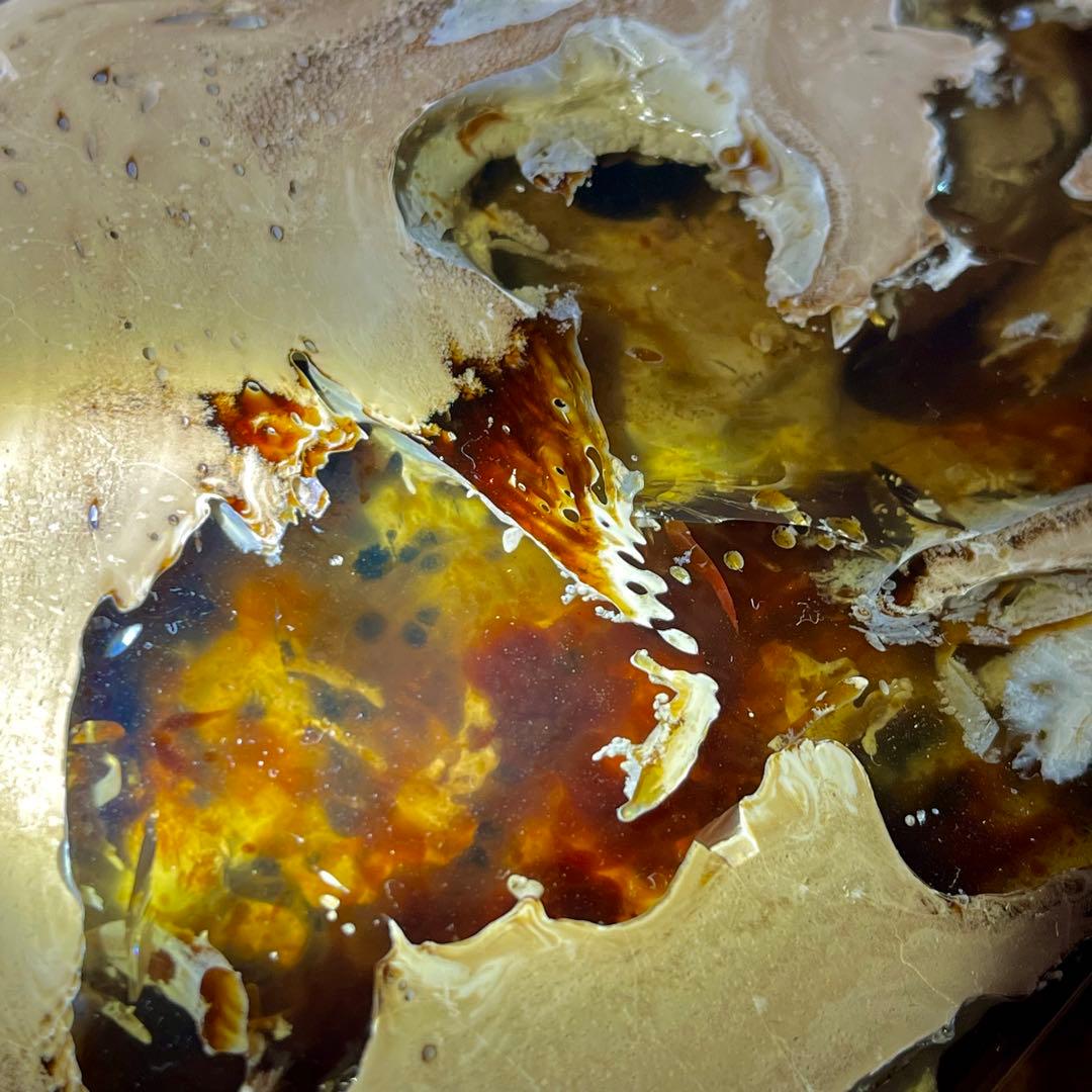 鑑別付 琥珀 原石 標本 巨大 タイガー アンバー レア 希少 鑑賞石