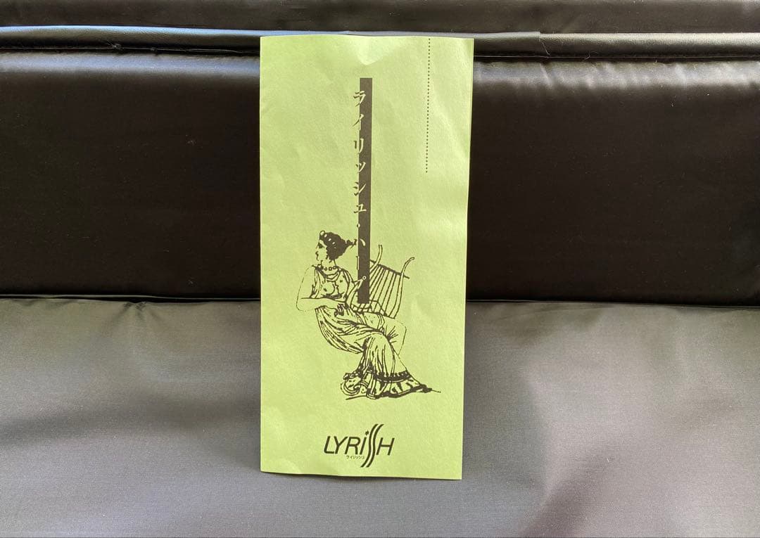 ライリッシュ 大正琴 LPS50 和楽器　専用ソフトケース付き