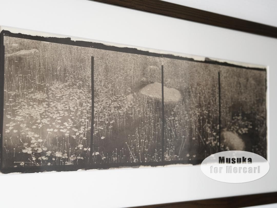 栗田紘一郎 Koichiro Kurita プラチナプリント写真 古典プリント