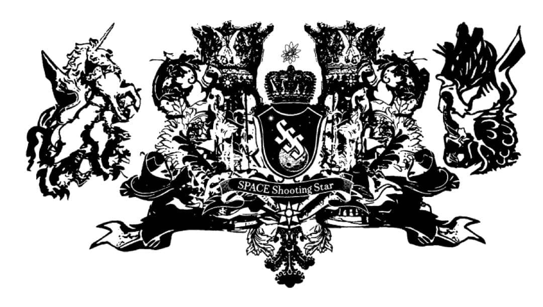 最高級な宇宙の隕石の粉ケース付き ⚜️✨　宇宙の流れ星の粉 ✨✨✨