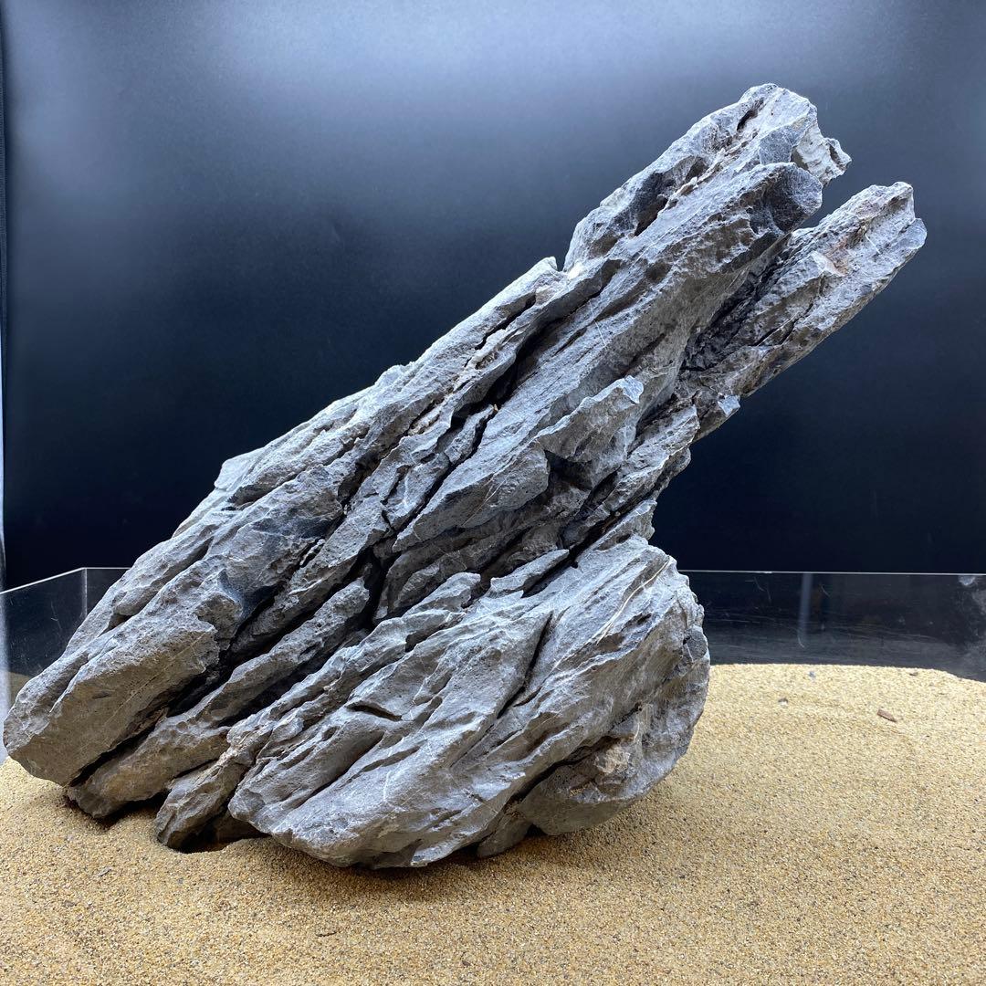 MSS-6641 セレクト品青龍石50cm親石　龍王石　竜王石