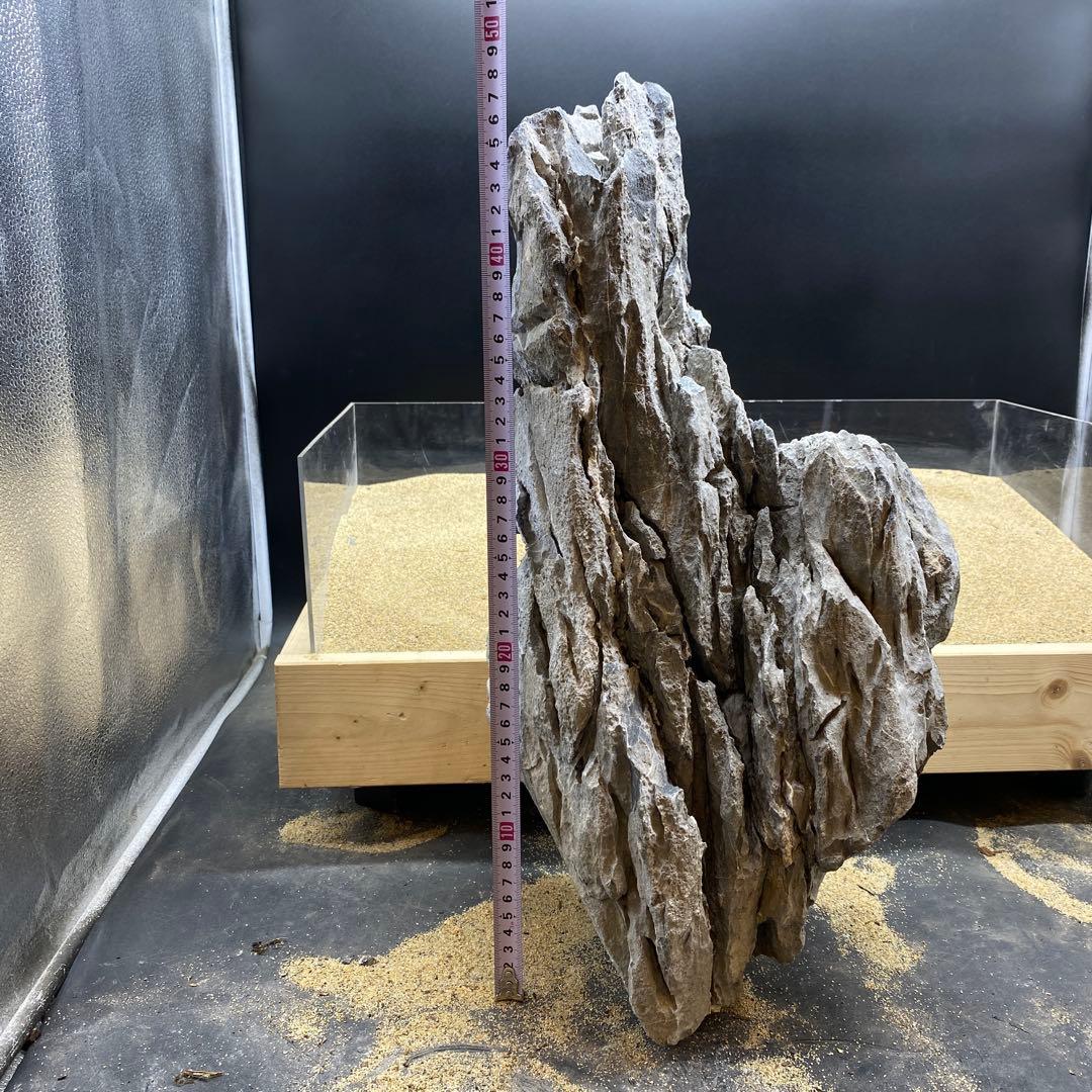 MSS-6641 セレクト品青龍石50cm親石　龍王石　竜王石