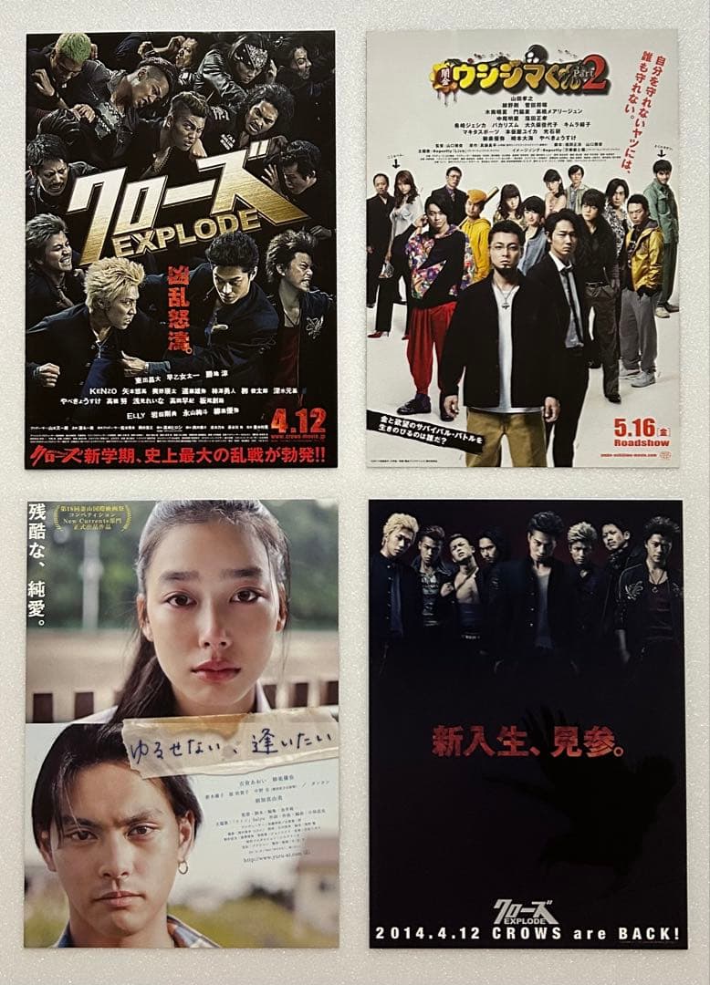 柳楽優弥 さん 出演 映画チラシ フライヤー 大量セット