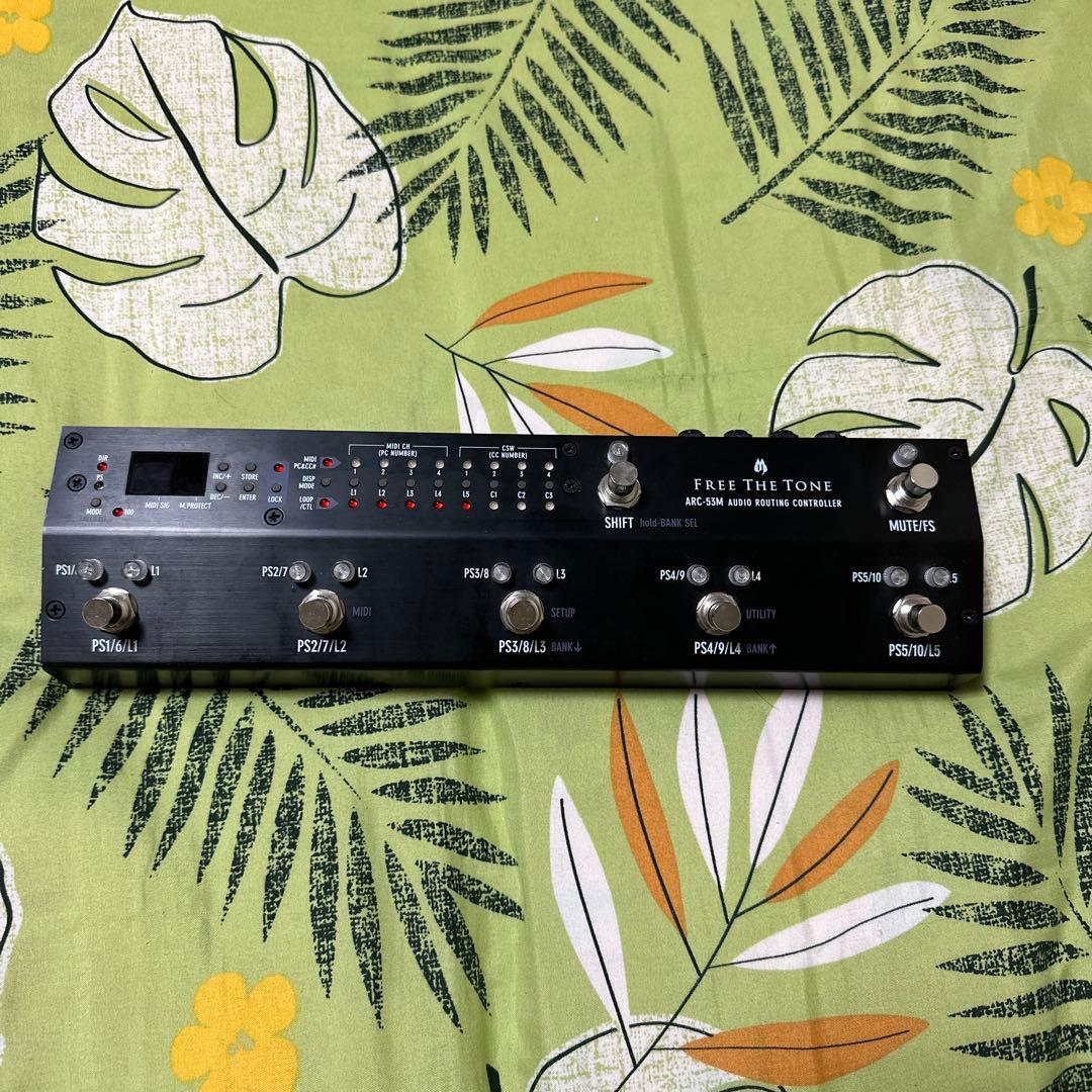 ギター Free The Tone ARC-53M