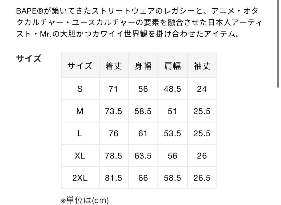 BAPE X MR. COLLEGE RELAXED FIT TEE Sサイズ