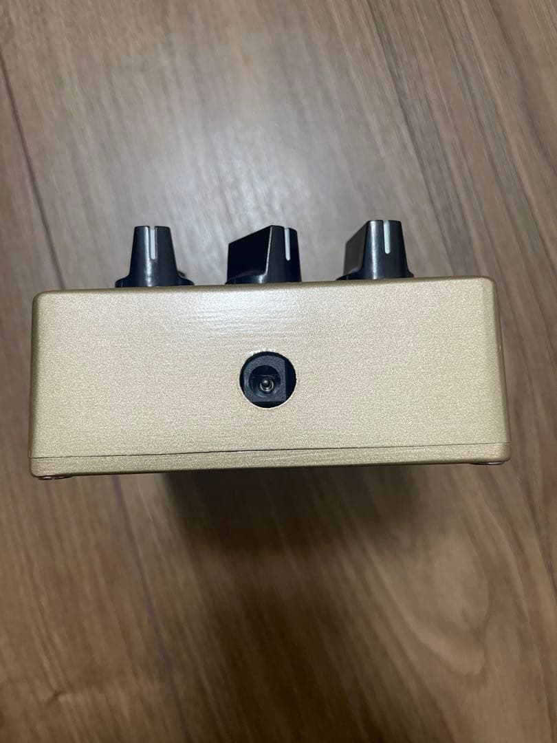 ギター Rippers KENBLE