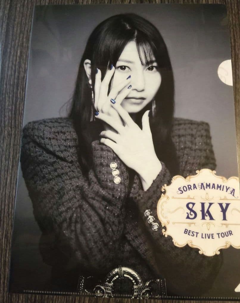 雨宮天 クリアファイル23枚セット