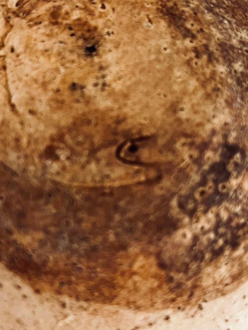 杉本立夫　鹿紋小皿　京都大吉