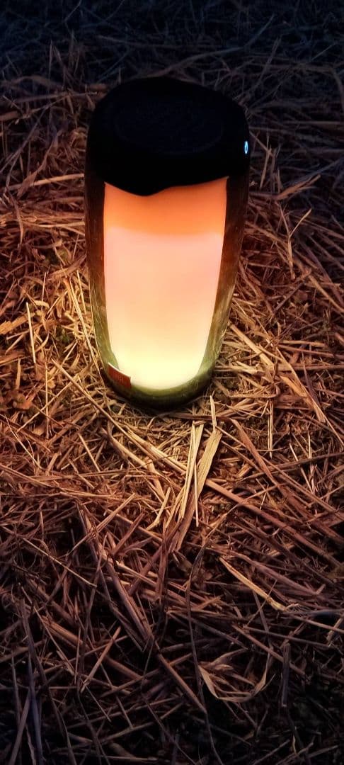 スピーカー・ウーファー JBL PULSE4