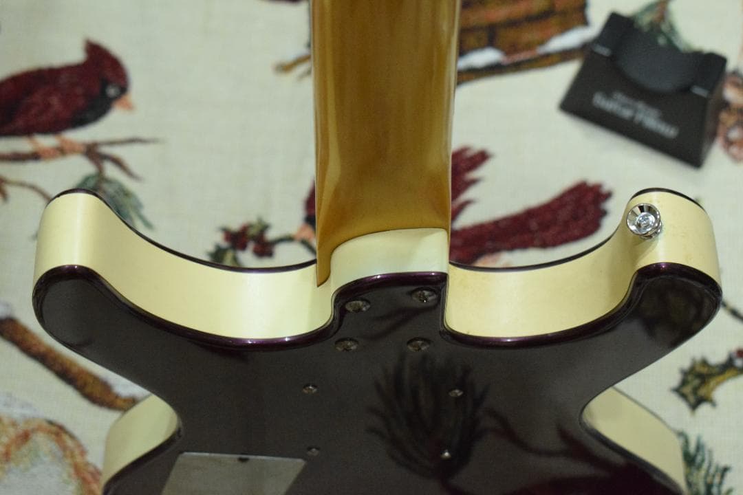 ギター Danelectro Hodad Purple