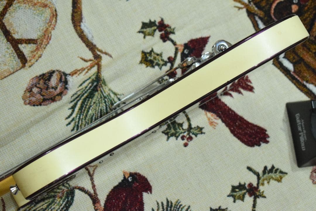 ギター Danelectro Hodad Purple