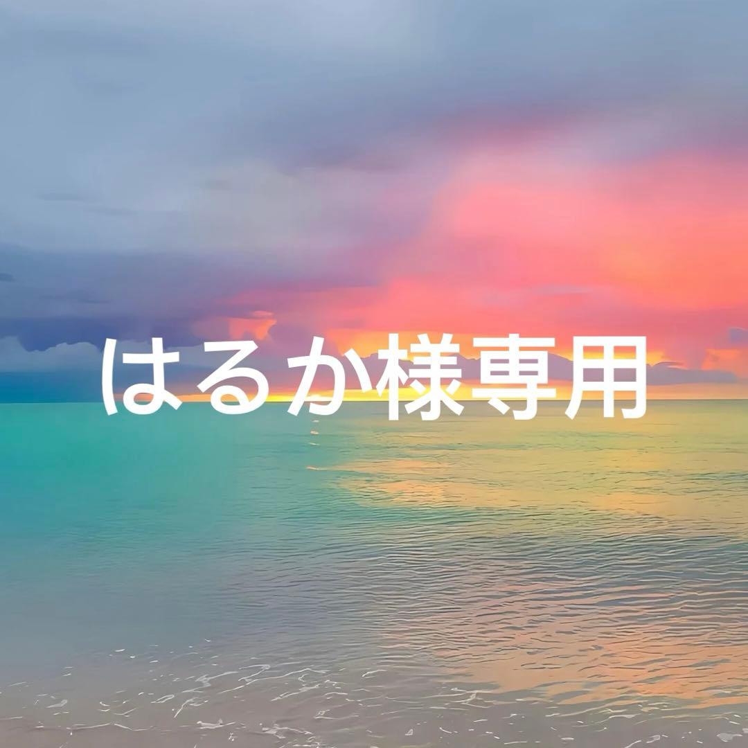 初音ミク 雪ミク どでかジャンボふわふわぬいぐるみ 中古品　2021年