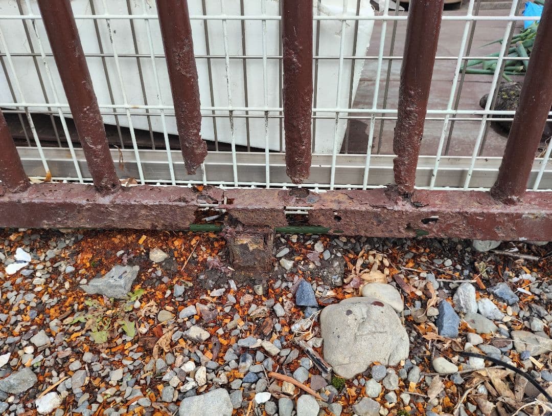 引き取り限定　檻