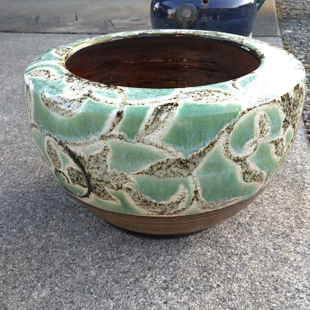 エメラルドグリーン 葉 花 草 火鉢 めだか鉢 金魚鉢