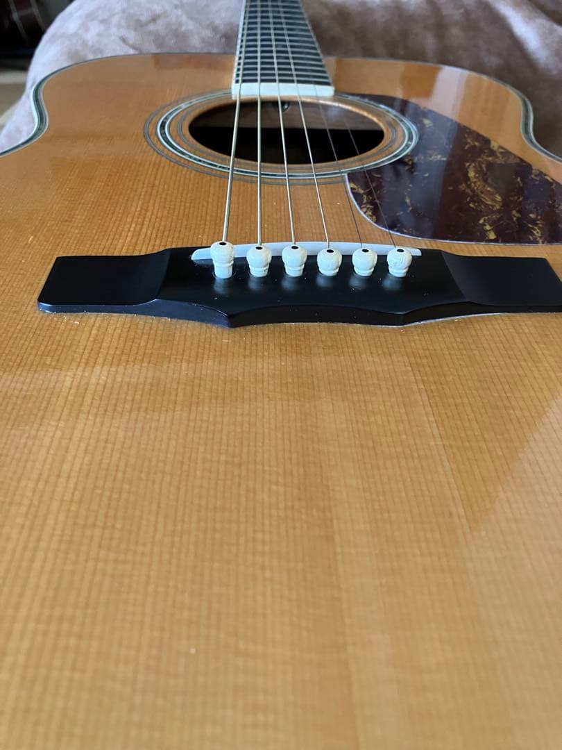 値下げ　MORRIS MF601 スプルース/ハカランダ