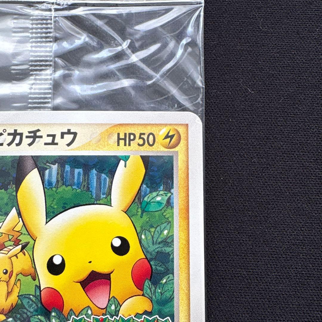 ポケパークのピカチュウ PROMO PCG-Pプロモカード 043/PCG-P