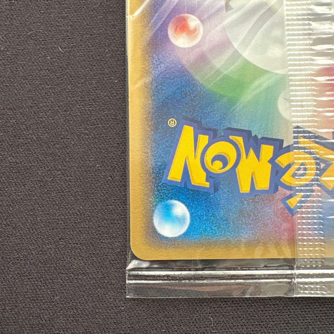 ポケパークのピカチュウ PROMO PCG-Pプロモカード 043/PCG-P