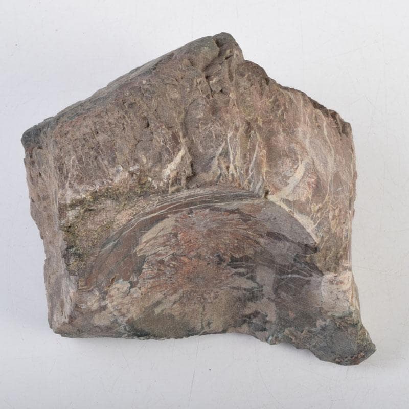 天然石　鑑賞石　菊花石　置物　重さ約1242g　C　8887