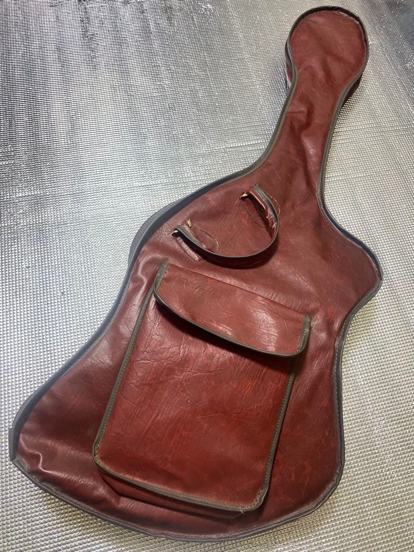 ギター FERNANDES MG-80X hide