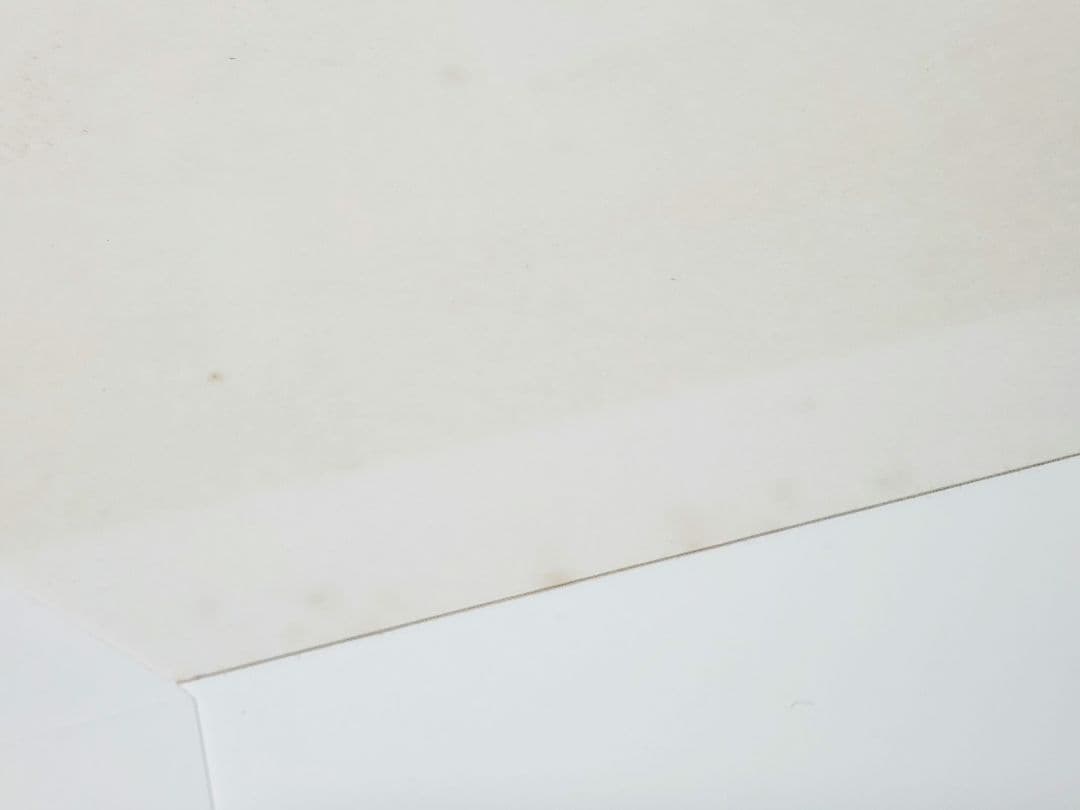 Serge Lassus セルジュラシス 乗馬 EA リトグラフ