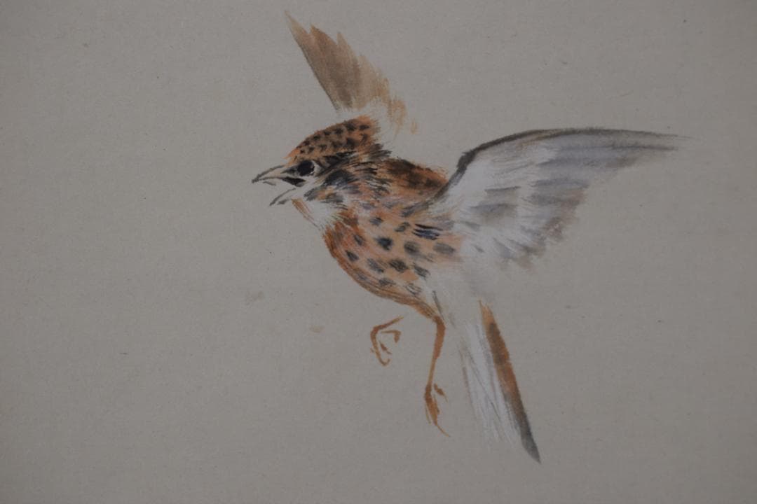 【真作】森田光達/雲雀図/ヒバリ/告天子/掛軸☆宝船☆Z-482