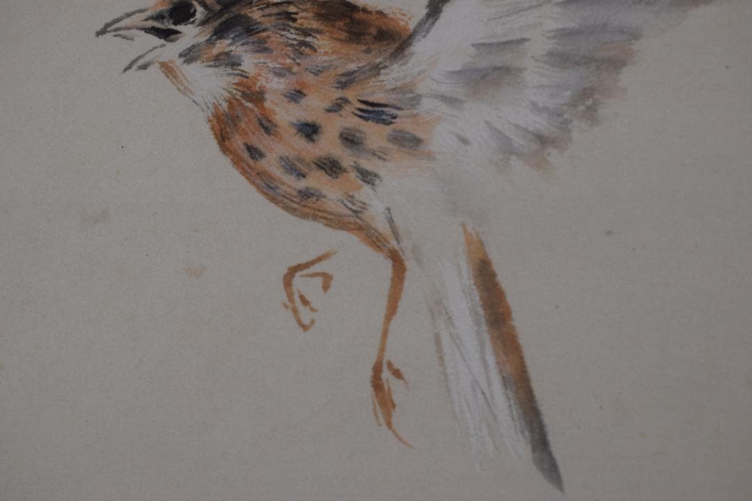 【真作】森田光達/雲雀図/ヒバリ/告天子/掛軸☆宝船☆Z-482