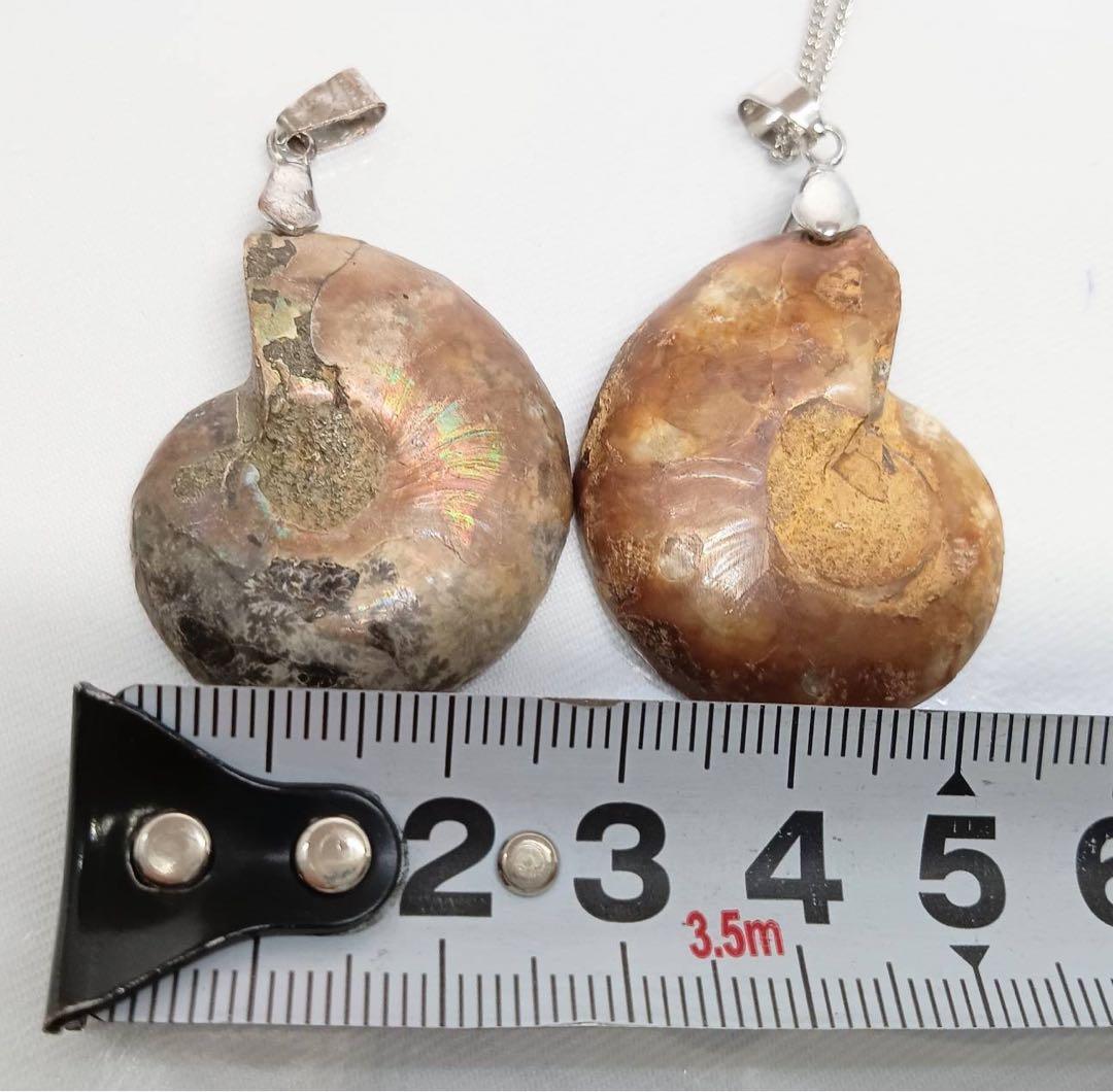 天然 アンモナイト アンティーク ペンダント ネックレス 2点 セット