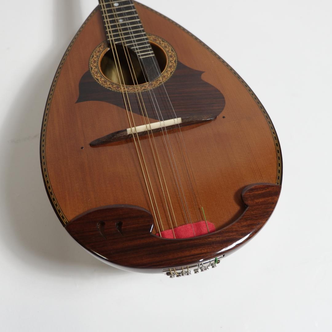 Suzuki スズキ マンドリン M-215 ハードケース付き