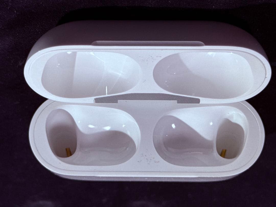 Apple純正 AirPods Pro 本体(第一世代)